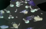《星际游者》下载安装教程介绍