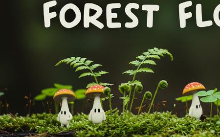 《Forest Floor》攻略——Steam上线 类匹克敏动作探索