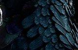 《沉睡魔咒3》制作中 前两部的编剧回归