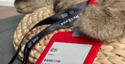 让爱不再流浪！可爱哈基米成功入职网易，成为《天下》新策划！