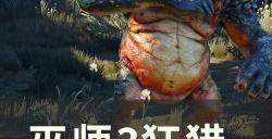 《巫师3狂猎》一周目最高难度怎么玩 一周目最高难度攻略