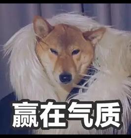女大晒清凉穿搭，评论区炸锅：这就是让街拍师追了三条街的秘密？