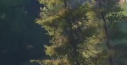 《无限暖暖》探险手册作用及使用攻略分享