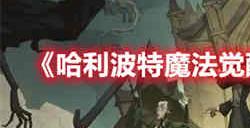 哈利波特魔法觉醒11月转盘时装是什么样的 11月转盘时装介绍