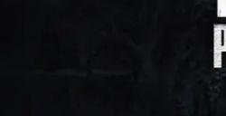 提升几何？《最后的生还者2：重制版》预告片对比原版