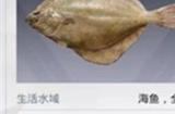 和平精英钓鱼大赛每天上限多少 钓鱼大赛上限介绍