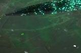 《流放之路》瓦尔宝珠用法