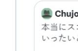 《幻兽帕鲁》网络自动化运营工作仅一位程序员负责