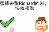 最强大脑急转弯第8关攻略  蜜蜂去蛰Richard的啦