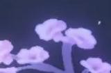 逆水寒手游镜湖花瓣宝箱在哪里 镜湖花瓣宝箱获取攻略