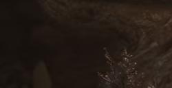 《黑神话：悟空》楮白枪获得方法分享