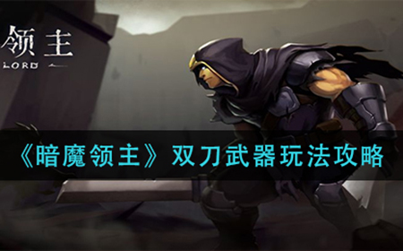 暗魔领主双刀武器怎么玩  双刀武器玩法攻略