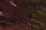 《星河舰队：灭绝》现已正式发售 新增单人教程模式
