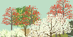 游戏日推荐 享受佛系种树的快乐《老农种树》