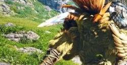 ff14光呆是什么意思 ff14光呆的含义介绍