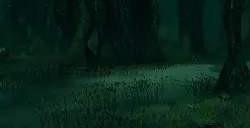 英灵神殿怎么驯服野猪 英灵神殿野猪驯服的方法分享