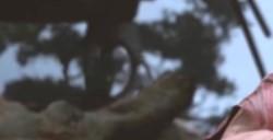 《黑神话：悟空》大力胫甲要什么材料