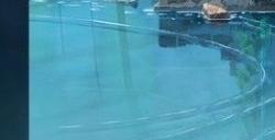 《铃芽之旅》预售总票房突破3000万 3月24日正式上映!