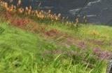 《阿凡达：潘多拉边境》本月推出Steam版