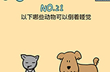 脑力黑洞第21关攻略  以下哪些动物可以倒着睡觉