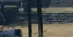 《暗喻幻想：ReFantazio》玛丽亚队友特殊作用介绍