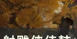 《射雕》韩小莹喜欢的礼物是什么 侠侍韩小莹赠品礼物一览