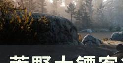 《荒野大镖客2》可收集帽子在哪里 可收集帽子攻略