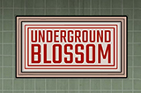 UndergroundBlossom《地铁繁花》攻略地铁繁花通过攻略