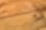 《全面战争》系列或将推出《全面战争：战锤40K》