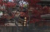 《逆水寒手游》初心难忘怎么做 人间任务初心难忘任务攻略