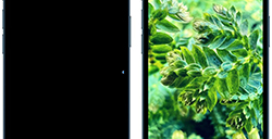 iPhone怎么彻底隐藏照片  隐藏照片及视频方法