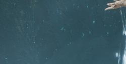 《光与影：33号远征队》源色精通成就做法介绍