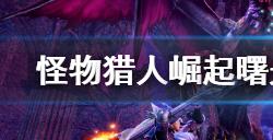 怪物猎人崛起曙光不详的冥布怎么获得  不详的冥布获得方法