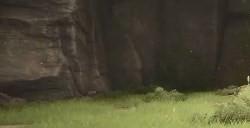 《无限暖暖》共鸣都有什么