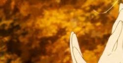 《赛马娘》官方紧急呼吁：请勿"骚扰"现实的原型赛马