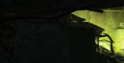 《潜行者2：切尔诺贝利之心》抱头鼠窜成就攻略分享