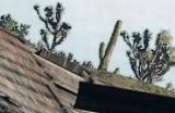 继《血源》后 PS4模拟器现可进入《荒野大镖客：重制版》