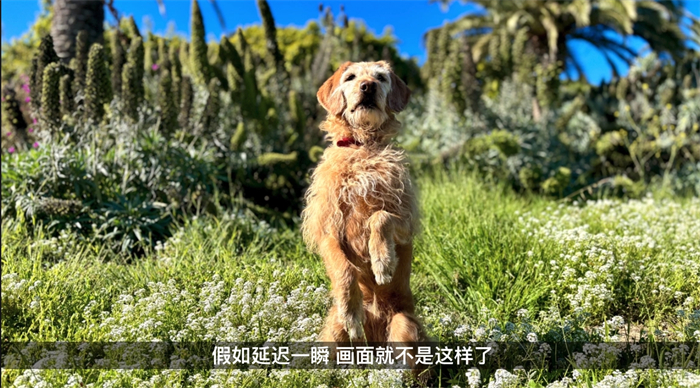 苹果 iPhone 15 系列正式发布7.jpg