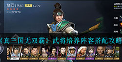 真三国无双霸武将阵容怎么搭配  武将培养阵容搭配攻略