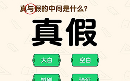 脑洞先生第175关攻略  真与假的中间是什么