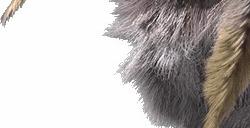 《怪物猎人：荒野》公测数据挖掘 人气怪物“海龙”将回归