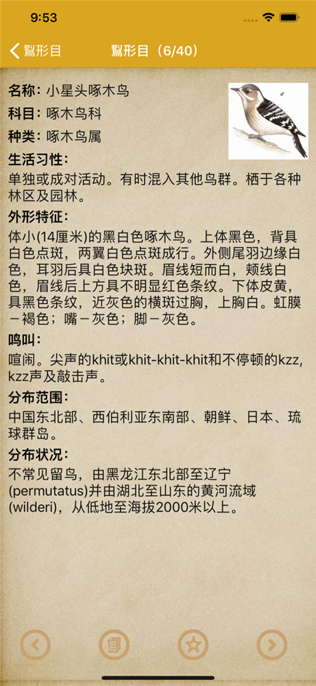 鸟类大全2.png