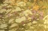 《艾尔登法环》dlc小黄金树的位置