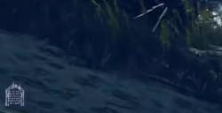 《艾尔登法环》dlc与梅瑟莫士兵大战的灵火龙点位