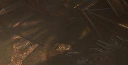 《最后纪元》破碎王冠制作方式介绍