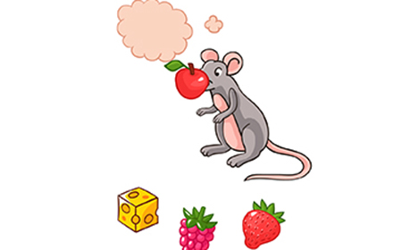Brain Blow第4关攻略  喂老鼠