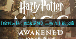 哈利波特魔法觉醒三书流卡组怎么组  三书流卡组攻略