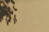 《inZOI》生活模拟系统作用介绍