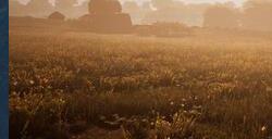 模拟游戏《Morels: The Hunt 2》Steam页面上线 明年发售