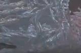 《明末：渊虚之羽》玄阳子打法技巧分享
